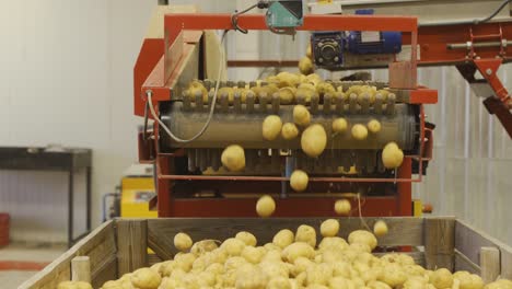 Storage-in-the-potato-factory.